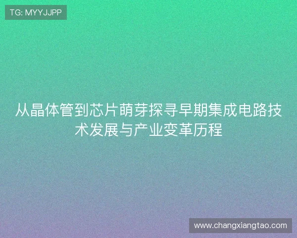 从晶体管到芯片萌芽探寻早期集成电路技术发展与产业变革历程